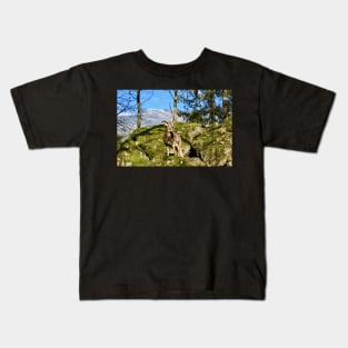 Schweiz / Swiss Artwork Photography Kids T-Shirt